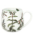 Tazza tè, disegno: