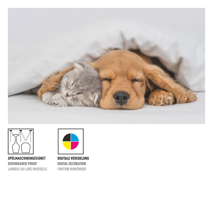 Bicchiere birra Weizen "Petfluenzer #1 - Oliveira", confezione assortita da 2 pezzi cl 65/cm Ø7,5x25,4