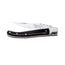 Coltello da tasca