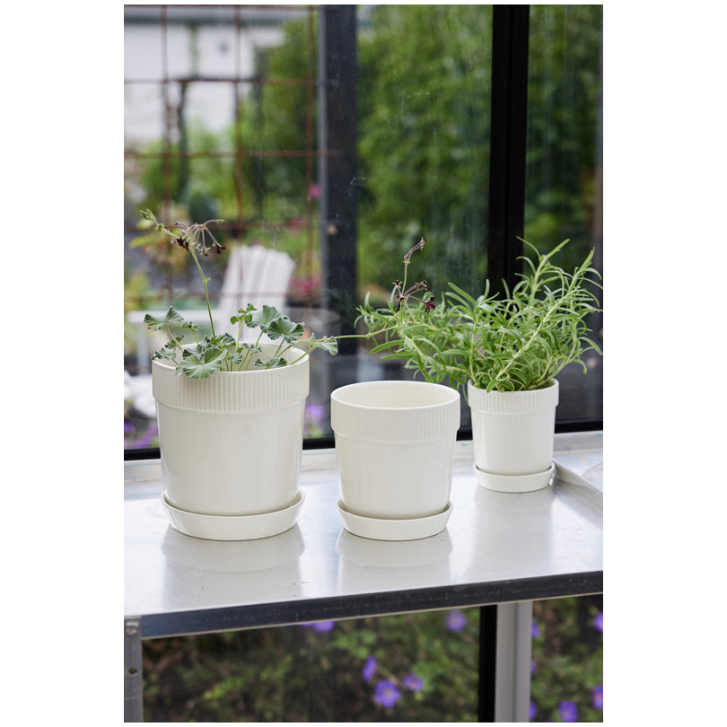 Vasetto porta erbe aromatiche con sottopiatto "Elise" cl 60/cm Ø11x13