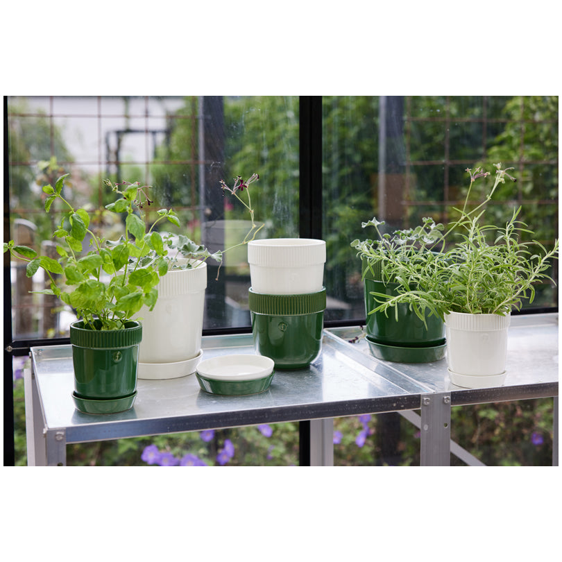 Vasetto porta erbe aromatiche con sottopiatto "Elise" cl 60/cm Ø11x13