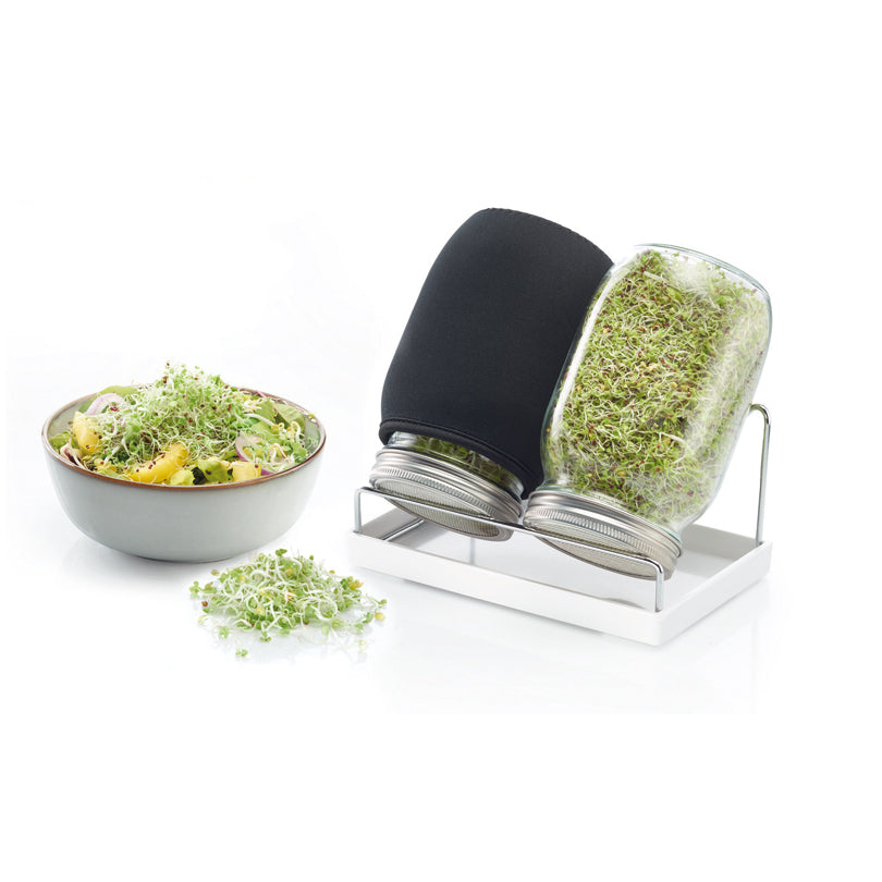 Kit Germogliatore con 2 serre in miniatura con supporto, vassoio raccolta e rivestimenti in tessuto ml 950/cm 20,9x16x19