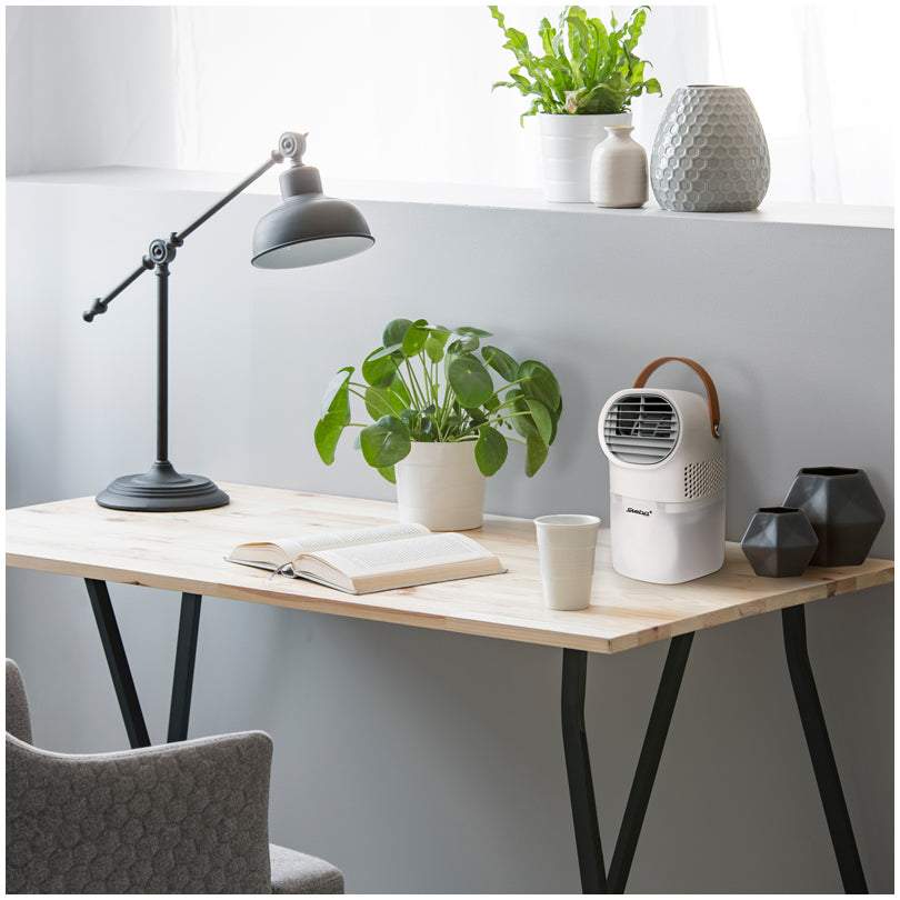 Purificatore d'aria mini "AW 6M" ml 750/cm 13,5x14x22