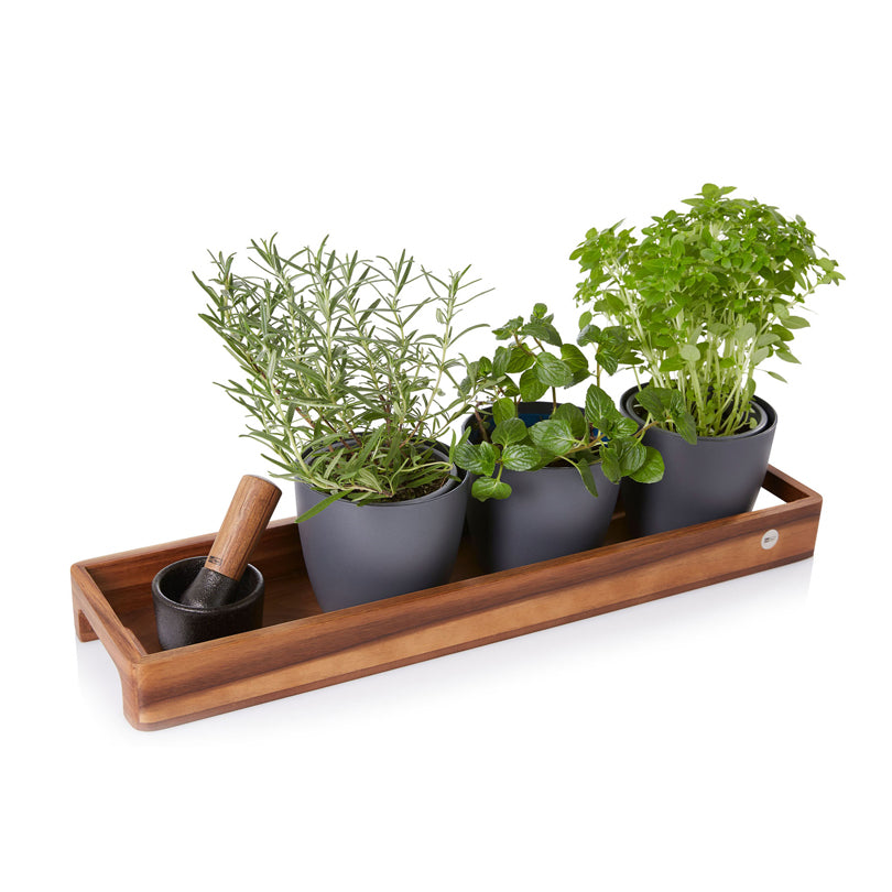 Vassoio per servire rettangolare "Serve Slim" cm 50x13x5