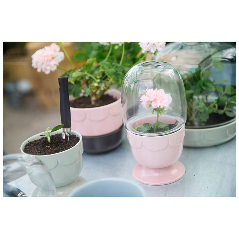 Vaso con cupola PINK GRES/VETRO CM 11X22,5 CM 11X22,5