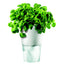 VASO CER.C.RIS.ACQUA CHALK WH.CM11