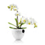 VASO P.ORCHIDEA C.RIS.D'ACQUA BCO PORC.,CM17