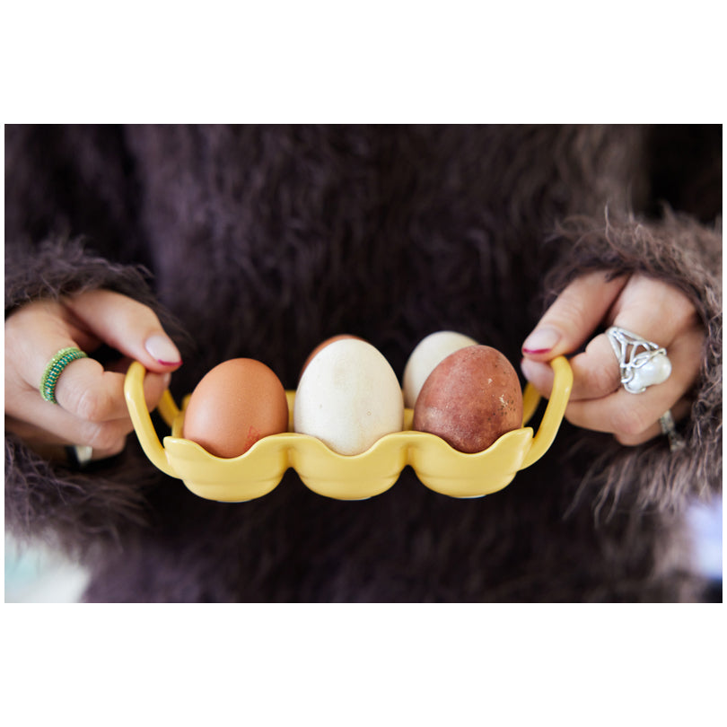 Vassoio per uova/portauova "Ellen" cm 15x10x5