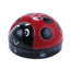 Timer Coccinella cm 6
