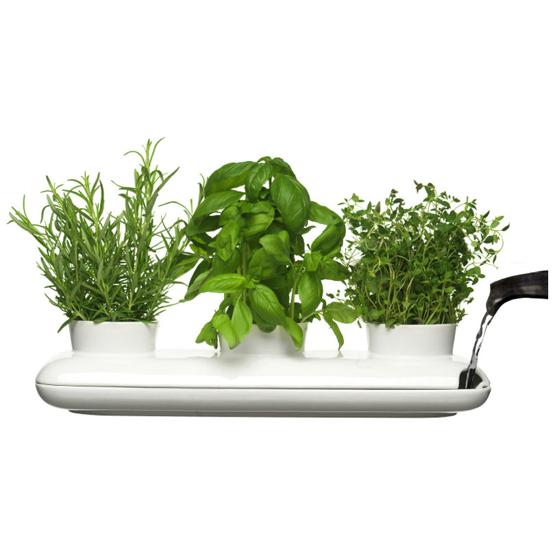 Vaso per erba AROMAT.TRIPLO GRES CM40X13