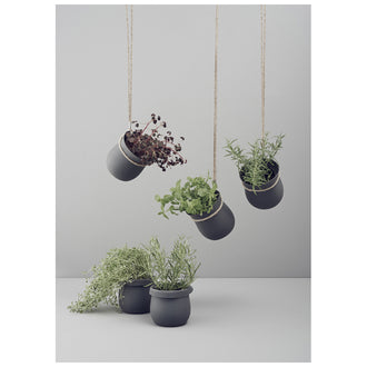 Vaso per erbe "GROW-IT" cm 13x13