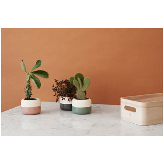 Coprivaso/Portautensili "Plant-It" cm 8,5x7